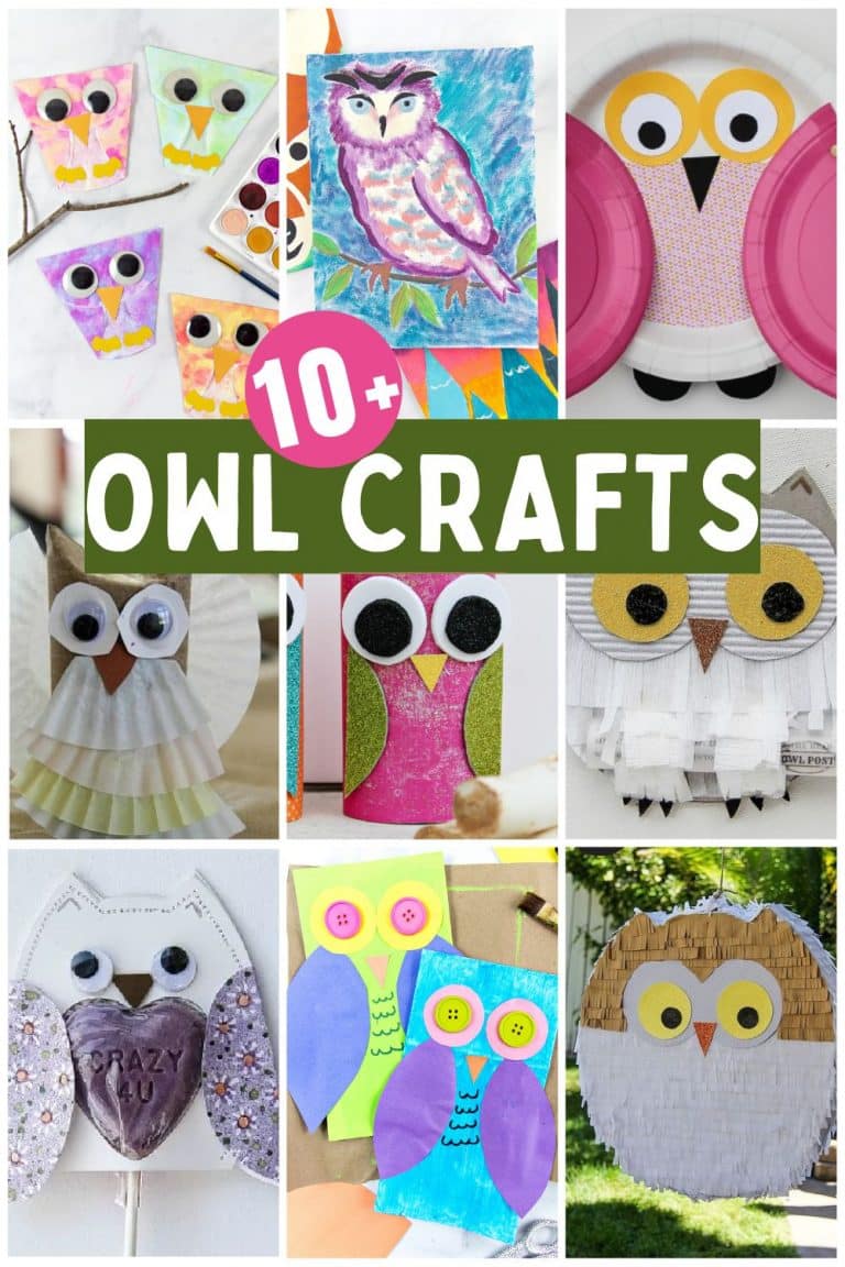 Make These Adorable Owl Crafts and Art Ideas | Tonya Staab